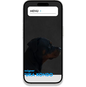 ポートフォリオsp